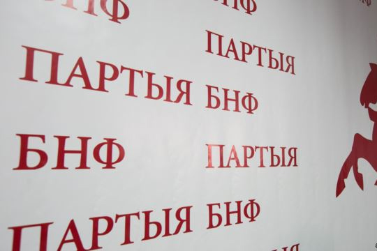 Партии размножаются делением