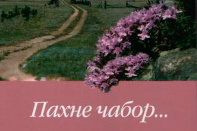 Вечны водар чабору