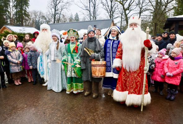 На деревню к дедушкам