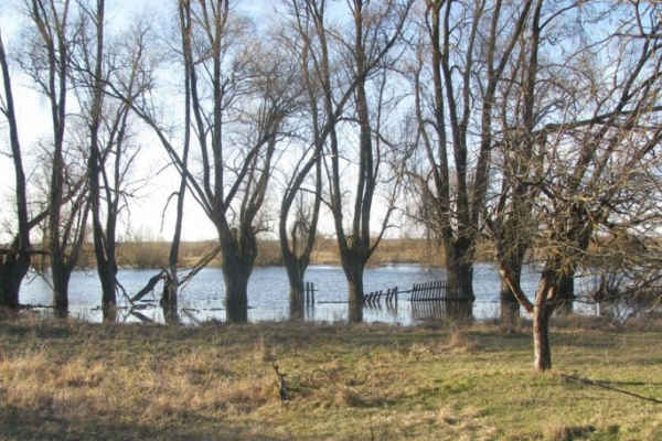 Днепр пришел в огород