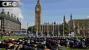 Улицы наши! Лондон охватили массовые протесты мусульман