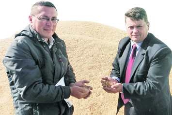 Почему председатель Крупского райисполкома Игорь Чеснок вникает в мелочи жатвы